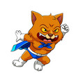 super cat with blue cloak and white vector image