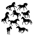 horse silhouettes vector image