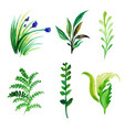 watercolor spring floral and leaves collection vector image