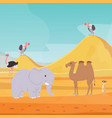 africa desert landscape background with cartoon vector image vector image