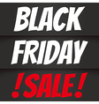 black friday vector image vector image