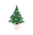 christmas tree in pot traditional xmas fir vector image vector image