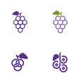 grapes icon design vector image
