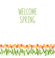 flowers background with tulips banner welcome vector image