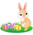 easter bunny vector image vector image