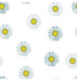 seamless pattern with camomile floral textile vector image
