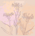 drawing flowers vector image