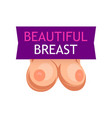 beautiful womens breast emblem with caption vector image