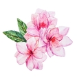 watercolor flowers vector image