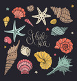 sea shells collection vector image vector image