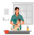 a veterinarian with puppy vector image vector image