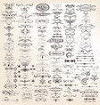 set of calligraphic elements for design vector image