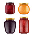 jam jar realistic home made marmalade traditional vector image