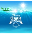 vacation summer holidays and travel design vector image