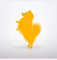 yellow little dog is standing on its hind legs vector image