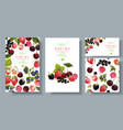 berry mix banners set vector image vector image