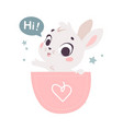 with cute bunny in pocket vector image