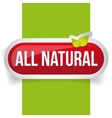 all natural button with leaves vector image vector image