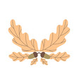 dried oak leaves with acorns vector image