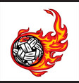 sepak takraw ball on fire vector image
