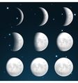 moon phases vector image