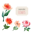 watercolor flowers vector image