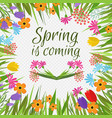 beautiful spring background with early vector image