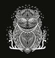 coloring owl vector image