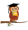 academic owl holding a book sitting on branch vector image