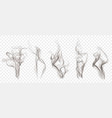 set smoke vector image
