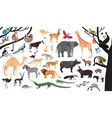collection of exotic animals and birds living vector image