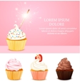 pink birthday card vector image