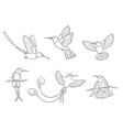 different hummingbirds in outlines vector image vector image