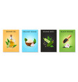 sesame posters set vector image