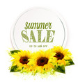summer sale background with yellow sunflowers vector image