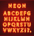 neon font text lamp sign alphabet vector image