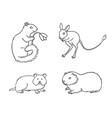 set 1 rodents in contours vector image vector image