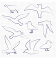 thin line birds silhouettes vector image