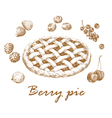 berry pie vector image