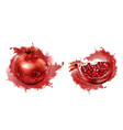 pomegranate whole and slice with seeds isolated vector image