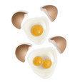 chicken eggs in realistic style fresh brown eggs vector image