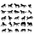 horses silhouettes set vector image