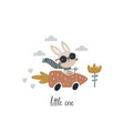 image of a cute bunny driver vector image