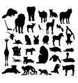 animals white background 23 vector image