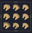 set of horse heads vector image