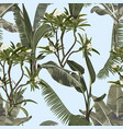 tropical vintage palm monstera plant plumeria vector image vector image