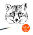 hand drawn sketch fox head isolated cute vector image