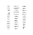 set hand-drawn decorative elements on white vector image