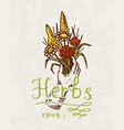 flower shop emblem or bright logo vintage bouquet vector image vector image