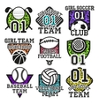 set of sport colorful labels design vector image